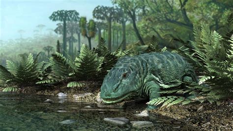 what animals were in the carboniferous period